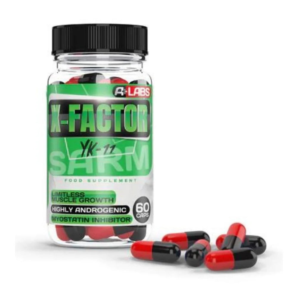 X Factor YK11
